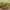 https://res.cloudinary.com/billionhands/image/upload/v1780514826/items/x1irpdwv4es0mgohdahf.jpg-1cover