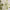 https://res.cloudinary.com/billionhands/image/upload/v1780515026/items/io276pivgjdhmq0t3jsi.webp-1cover