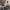 https://res.cloudinary.com/billionhands/image/upload/v1780515090/items/e9jx6dws7siqhrf95akz.webp-0cover