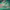 https://res.cloudinary.com/billionhands/image/upload/v1780515095/items/f4augbxqk3mecwmugmsc.jpg-2cover
