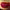 https://res.cloudinary.com/billionhands/image/upload/v1780515161/items/qbcz9lwcnrhvkkezdpzb.jpg-1cover