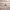 https://res.cloudinary.com/billionhands/image/upload/v1780515826/items/vtezk0qwrknmmj4sn3bo.webp-1cover