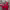 https://res.cloudinary.com/billionhands/image/upload/v1780515866/items/ct4ark8auysd8qxy1alv.webp-3cover