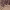 https://res.cloudinary.com/billionhands/image/upload/v1780516757/items/hge0epqudbuedxphobag.jpg-3cover