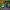 https://res.cloudinary.com/billionhands/image/upload/v1780516788/items/vickuqlle2jqxzgsldde.avif-1cover