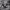 https://res.cloudinary.com/billionhands/image/upload/v1780517169/items/iefzx7wawziyebu0yzgr.jpg-0cover