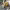 https://res.cloudinary.com/billionhands/image/upload/v1780517332/items/lerl4bypsbmsh99gqvlo.png-0cover