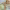 https://res.cloudinary.com/billionhands/image/upload/v1780517369/items/nt5xtz9w1beaihmxcvdk.webp-1cover