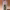 https://res.cloudinary.com/billionhands/image/upload/v1780517863/items/abfhhzxkb7eoncfufvuo.webp-0cover