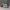 https://res.cloudinary.com/billionhands/image/upload/v1780517920/items/qsved0fqucquwt7lgvqf.jpg-2cover