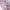 https://res.cloudinary.com/billionhands/image/upload/v1780518137/items/xgvhq5eavdsxo6to4mcb.jpg-2cover