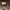 https://res.cloudinary.com/billionhands/image/upload/v1780518169/items/ulygin5bsjixluiiiytl.webp-2cover