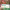 https://res.cloudinary.com/billionhands/image/upload/v1780518320/items/bxev6dqgyavckwtldbjm.jpg-2cover