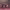 https://res.cloudinary.com/billionhands/image/upload/v1780518467/items/lmsentcdv1nkz0vbwt8h.webp-2cover
