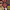 https://res.cloudinary.com/billionhands/image/upload/v1780519685/items/fqqlpxzcpieaa6eemjwl.jpg-1cover