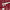 https://res.cloudinary.com/billionhands/image/upload/v1780519724/items/kyroihy2htuohtlpu9ay.webp-1cover
