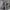 https://res.cloudinary.com/billionhands/image/upload/v1780519774/items/iaorpw3brxencq19kj2d.png-2cover