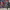 https://res.cloudinary.com/billionhands/image/upload/v1780520194/items/u7rptrlwe9ilqxtz00of.jpg-2cover