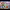 https://res.cloudinary.com/billionhands/image/upload/v1780520195/items/icohxlxioot1hqemsqit.jpg-3cover