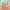 https://res.cloudinary.com/billionhands/image/upload/v1780522593/items/nfebsuzrypceiwg2uj72.webp-1cover