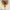 https://res.cloudinary.com/billionhands/image/upload/v1780522851/items/do43gekaxcbbbs6b1rp0.webp-1cover