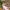 https://res.cloudinary.com/billionhands/image/upload/v1780523366/items/srqeeseprn2fdyja8y6q.avif-1cover