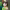 https://res.cloudinary.com/billionhands/image/upload/v1780523382/items/yqgkw22gi3dogsjc4l9u.avif-3cover