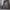 https://res.cloudinary.com/billionhands/image/upload/v1780526479/items/ulpvdawxs9dpor1k3ru1.jpg-2cover