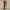 https://res.cloudinary.com/billionhands/image/upload/v1780526543/items/eadfzucdwjghcpxm48nz.jpg-3cover