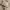 https://res.cloudinary.com/billionhands/image/upload/v1780526879/items/mjtohllladiztfu1gcfw.webp-3cover