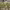 https://res.cloudinary.com/billionhands/image/upload/v1780527028/items/p7tcngwfwwzt58k0oo00.jpg-2cover