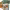 https://res.cloudinary.com/billionhands/image/upload/v1780527037/items/ul3tbokrnmnrbe8dgu44.jpg-0cover