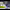 https://res.cloudinary.com/billionhands/image/upload/v1780527178/items/pqpf9ofompxhmtwlvch9.jpg-3cover