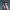 https://res.cloudinary.com/billionhands/image/upload/v1780527636/items/o1h9jyfxqac4difvdta9.webp-1cover