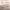 https://res.cloudinary.com/billionhands/image/upload/v1780527965/items/dml4ybz9ughgoo2go0ur.jpg-1cover