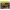 https://res.cloudinary.com/billionhands/image/upload/v1780529388/items/sdimekyaudhgu8ol2wdj.webp-2cover