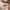 https://res.cloudinary.com/billionhands/image/upload/v1780529480/items/xj19lavcm6hqyltvta1f.png-0cover