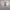https://res.cloudinary.com/billionhands/image/upload/v1780529750/items/r28rwsnw0dl9rudcxuwj.webp-1cover