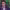 https://res.cloudinary.com/billionhands/image/upload/v1780530337/items/rvk0vqwbszmqftbfteno.jpg-1cover