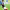 https://res.cloudinary.com/billionhands/image/upload/v1780530427/items/zdkslbkdgg7hqsu5tnpl.jpg-1cover