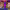 https://res.cloudinary.com/billionhands/image/upload/v1780530481/items/fgpu1usyq6cs2mf7n47u.jpg-3cover