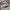https://res.cloudinary.com/billionhands/image/upload/v1780530533/items/sa6ggxa99zlgmzoxovuo.avif-0cover