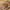 https://res.cloudinary.com/billionhands/image/upload/v1780530588/items/h2nvrnaxxquljpjmr2s6.jpg-2cover