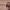 https://res.cloudinary.com/billionhands/image/upload/v1780531302/items/swyeqh0pg4udmursuujl.jpg-2cover