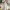 2-in-1 Haute Couture Wedding Dress for Civil and Religious Ceremony cover