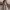 https://res.cloudinary.com/billionhands/image/upload/v1780531904/items/dgiy4xuhof32axcmcz3w.webp-1cover