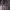 https://res.cloudinary.com/billionhands/image/upload/v1780532404/items/u0lemwacwh0eh7rmzhc3.jpg-1cover