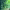 https://res.cloudinary.com/billionhands/image/upload/v1780532962/items/smihxptk8s3rwipsflkk.png-0cover