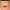 https://res.cloudinary.com/billionhands/image/upload/v1780533406/items/g9qyryb7z4bdvra4ddyd.jpg-2cover