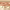 https://res.cloudinary.com/billionhands/image/upload/v1780533786/items/i9amp4cvltix0bqhwwgs.jpg-3cover